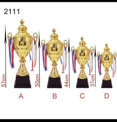 Cúp thể thao mẫu 12, cup the thao mau 12