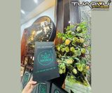 Vợt Pickleball NIFERCO , vot Pickleball NIFERCO