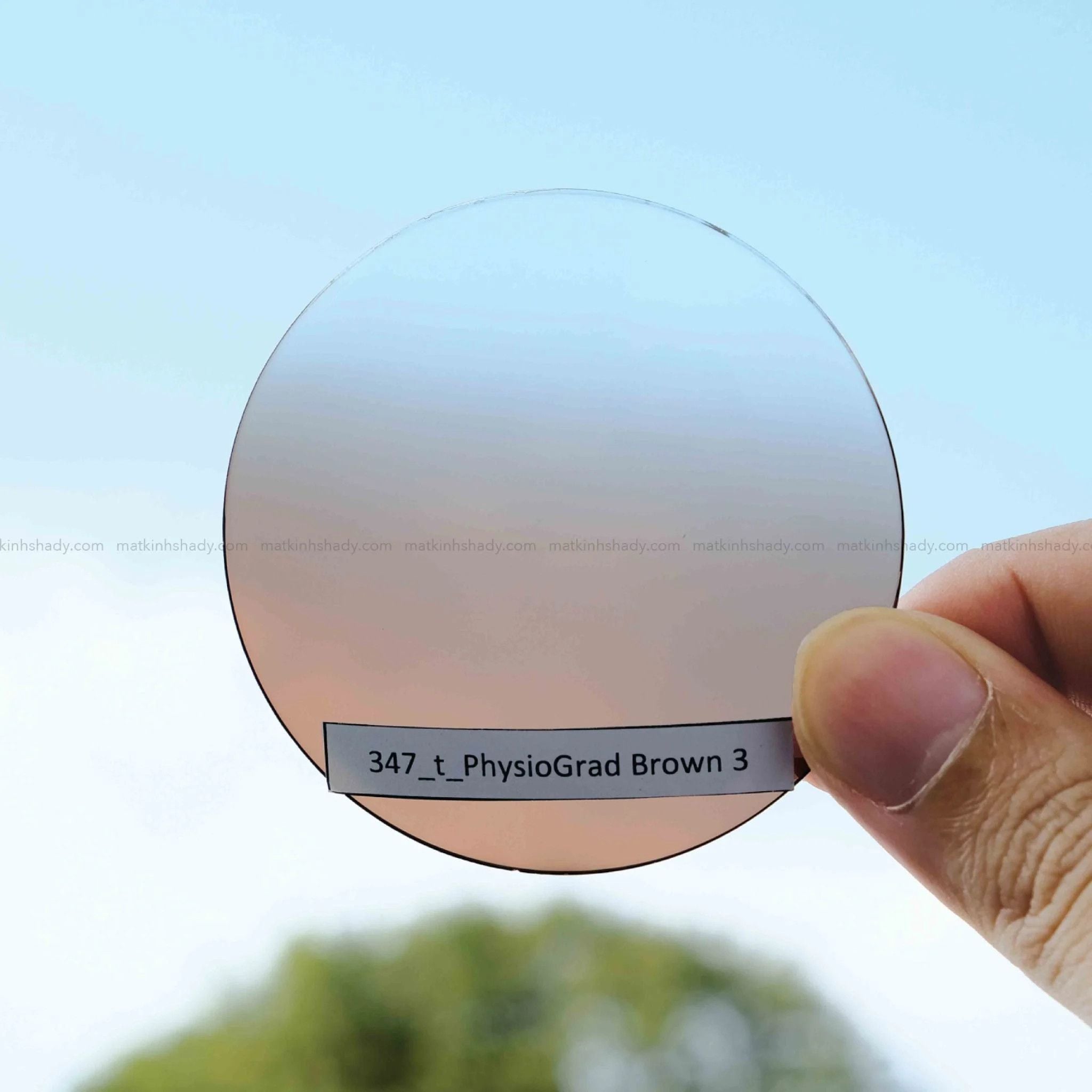  Tròng Kính Râm Cận Essilor Suntints Blue UV MaxAz 