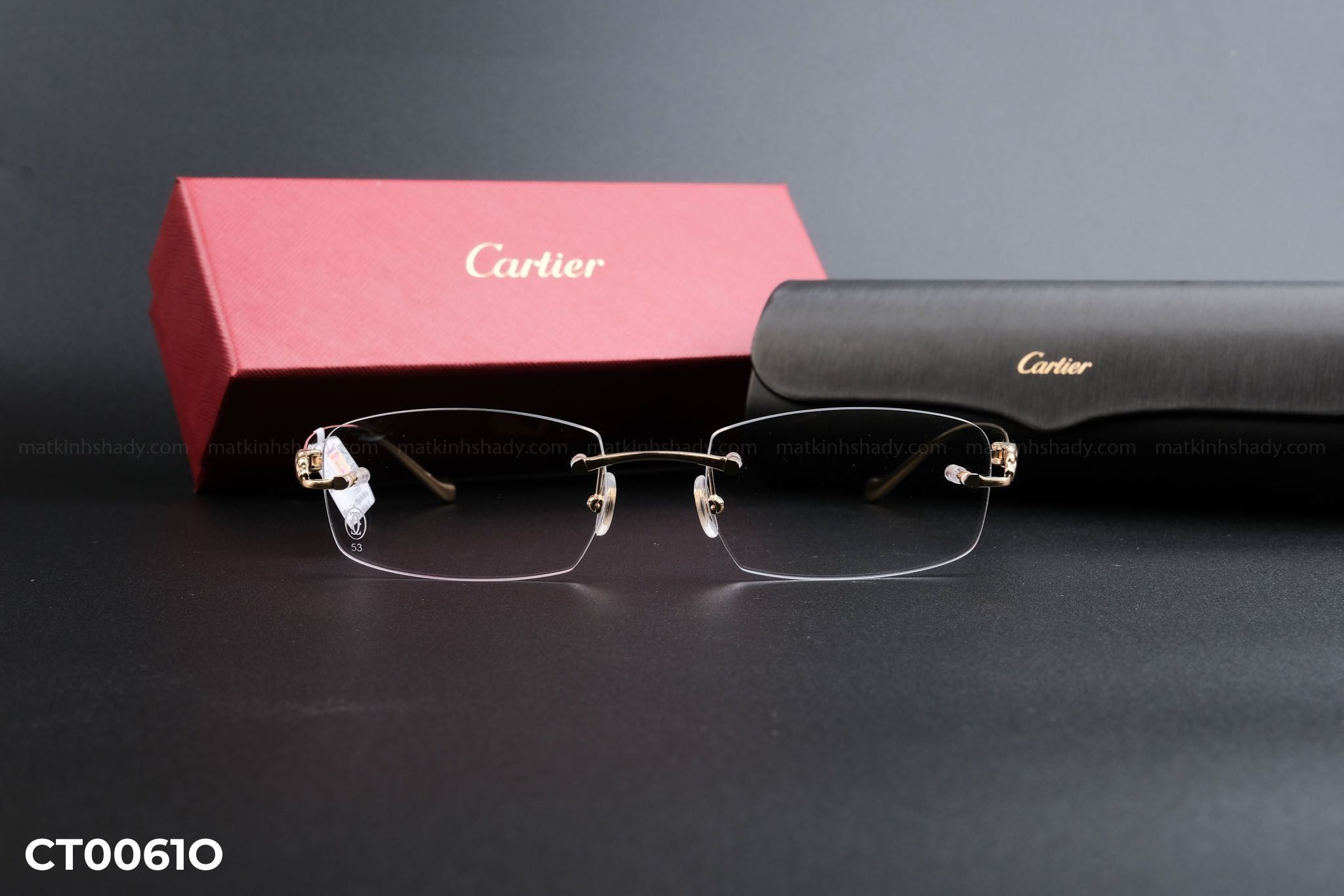  Cartier Eyewear - Glasses - CT0061O 