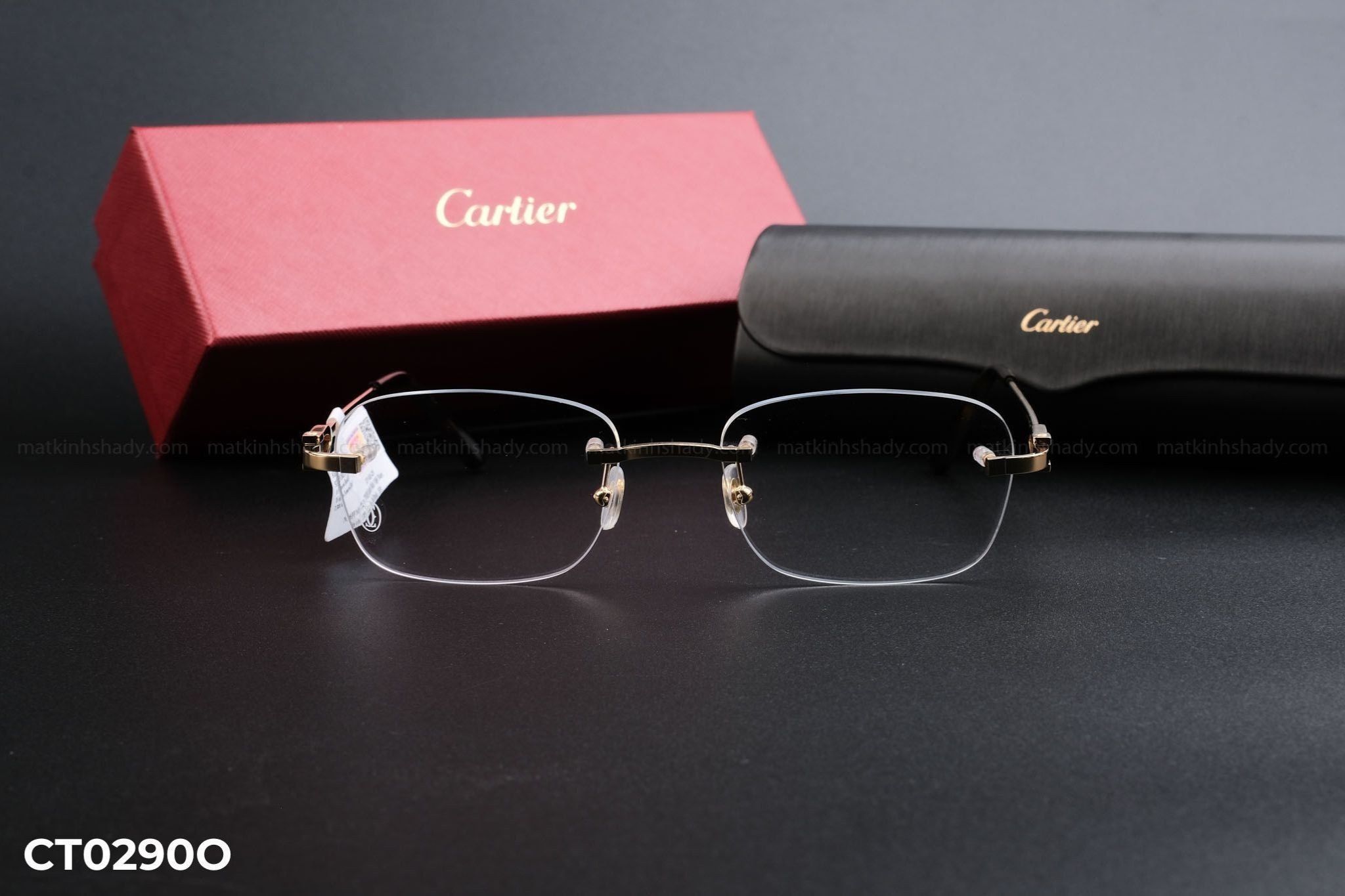  Cartier Eyewear - Glasses - CT0290O (53) 