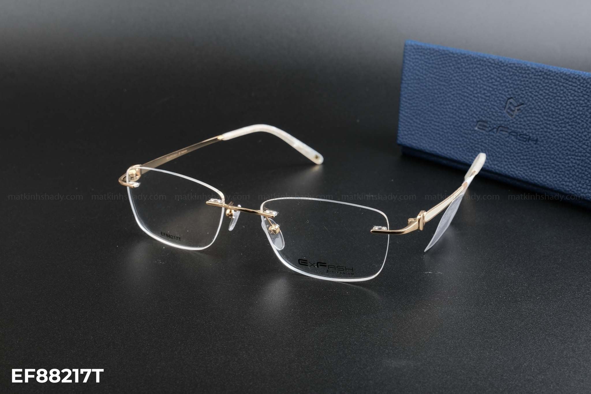  Exfash Eyewear - Glasses - EF88217T 