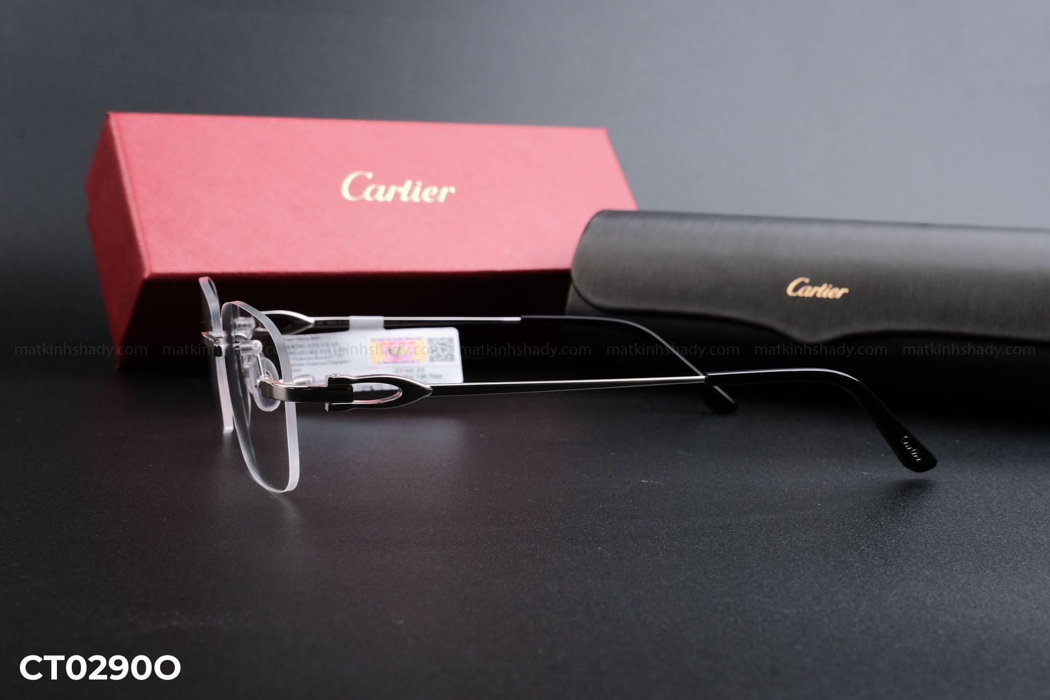  Cartier Eyewear - Glasses - CT0290O (55) 