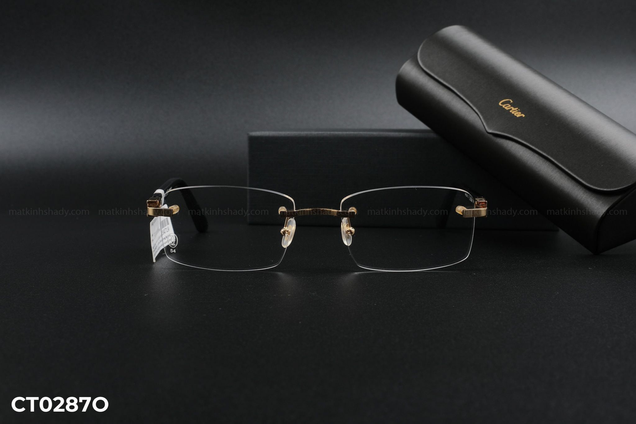  Cartier Eyewear - Glasses - CT0287O 