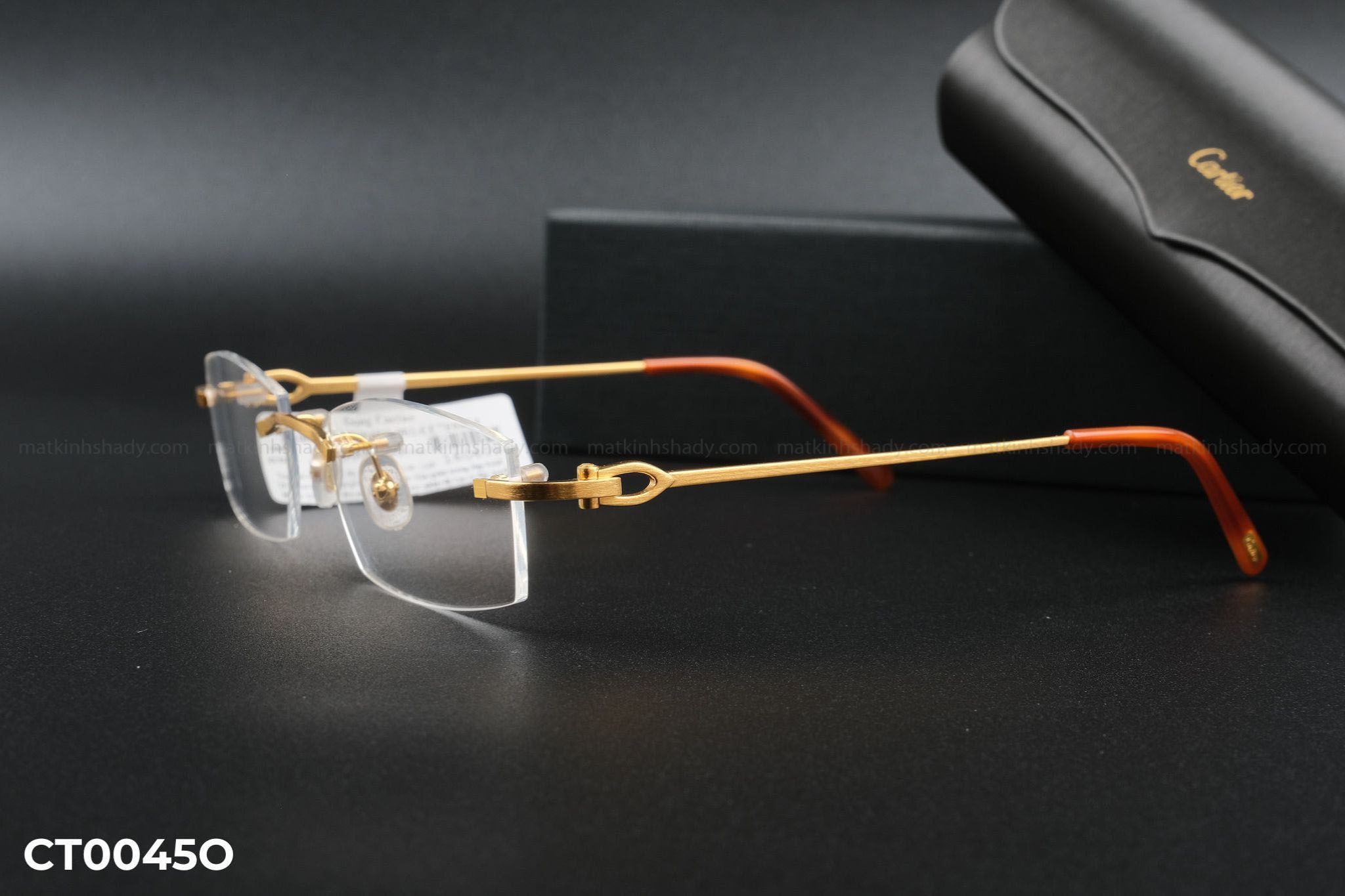  Cartier Eyewear - Glasses - CT0045O 