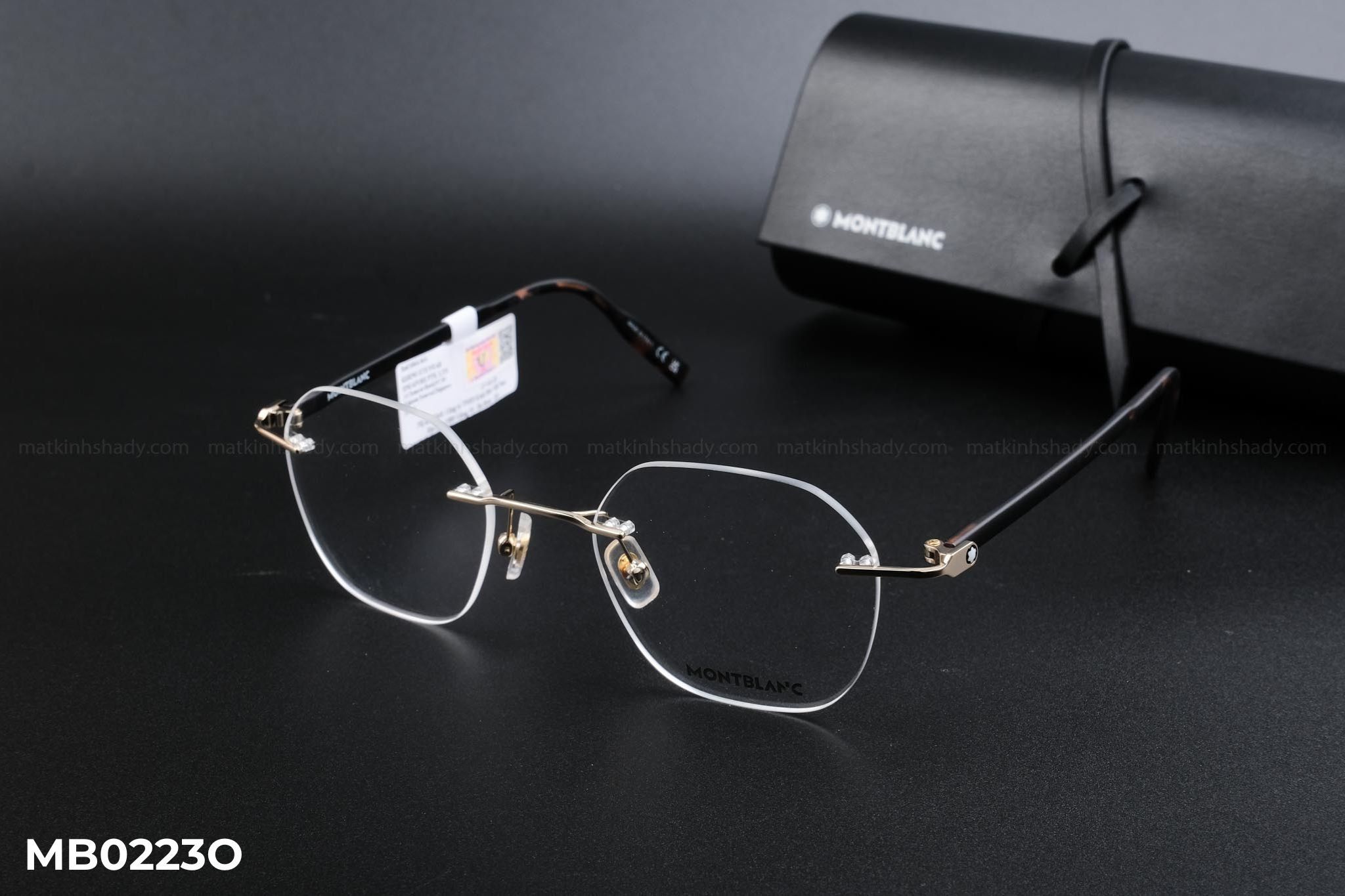  Montblanc Eyewear - Glasses - MB0223O 