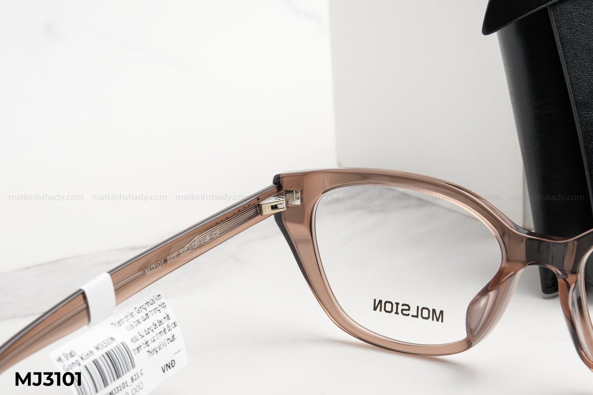  Molsion Eyewear - Glasses - MJ3101 