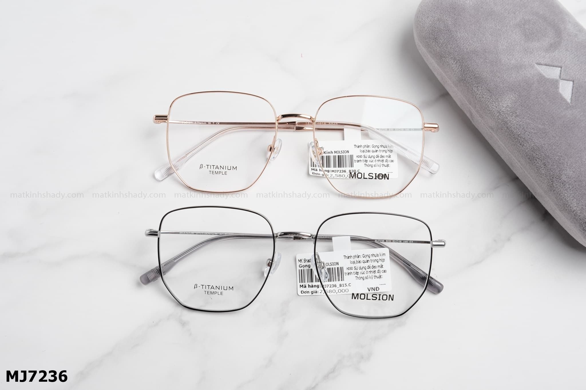  Molsion Eyewear - Glasses - MJ7236 