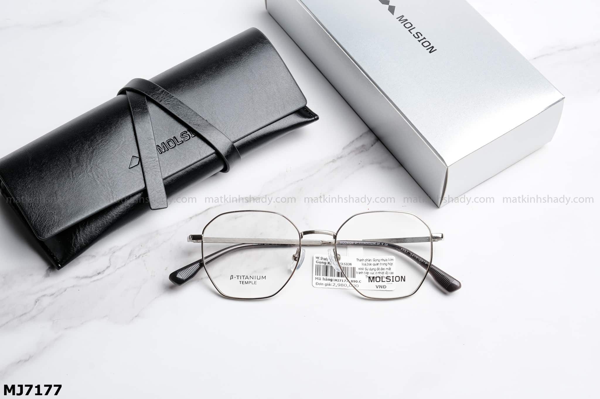  Molsion Eyewear - Glasses - MJ7177 