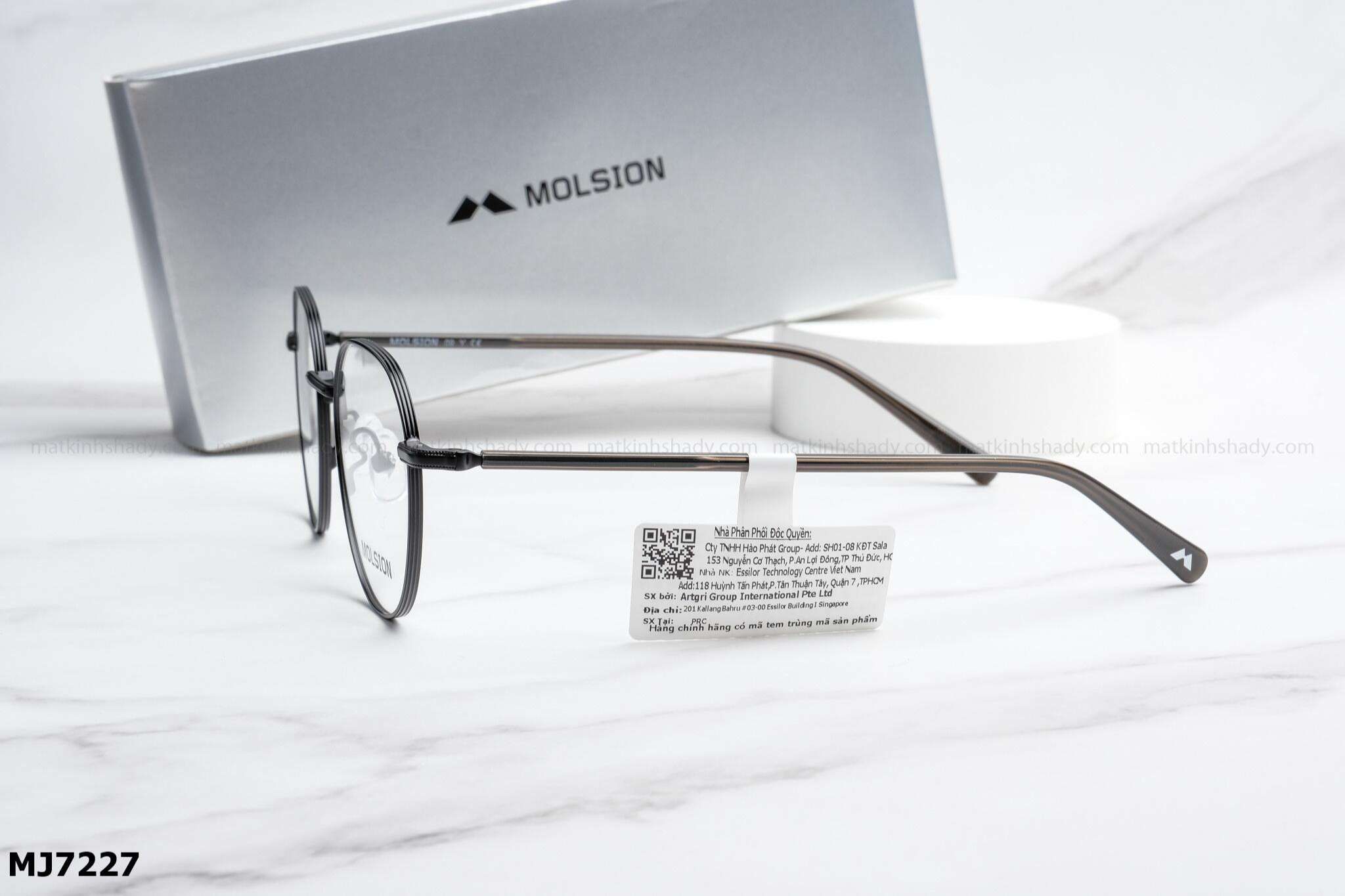  Molsion Eyewear - Glasses - MJ7227 