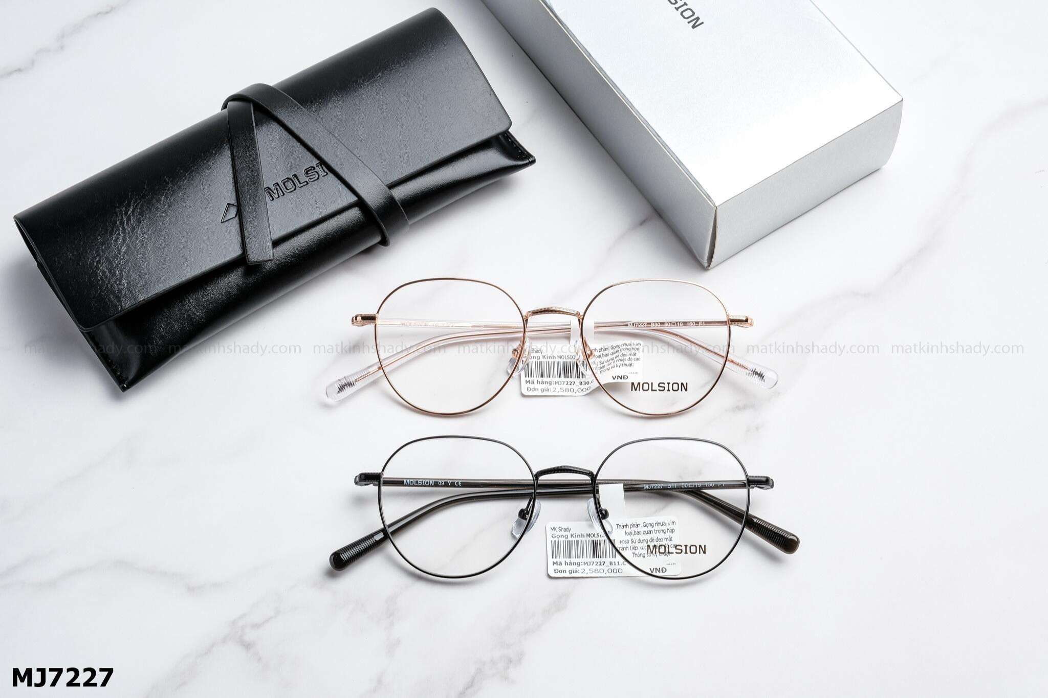  Molsion Eyewear - Glasses - MJ7227 