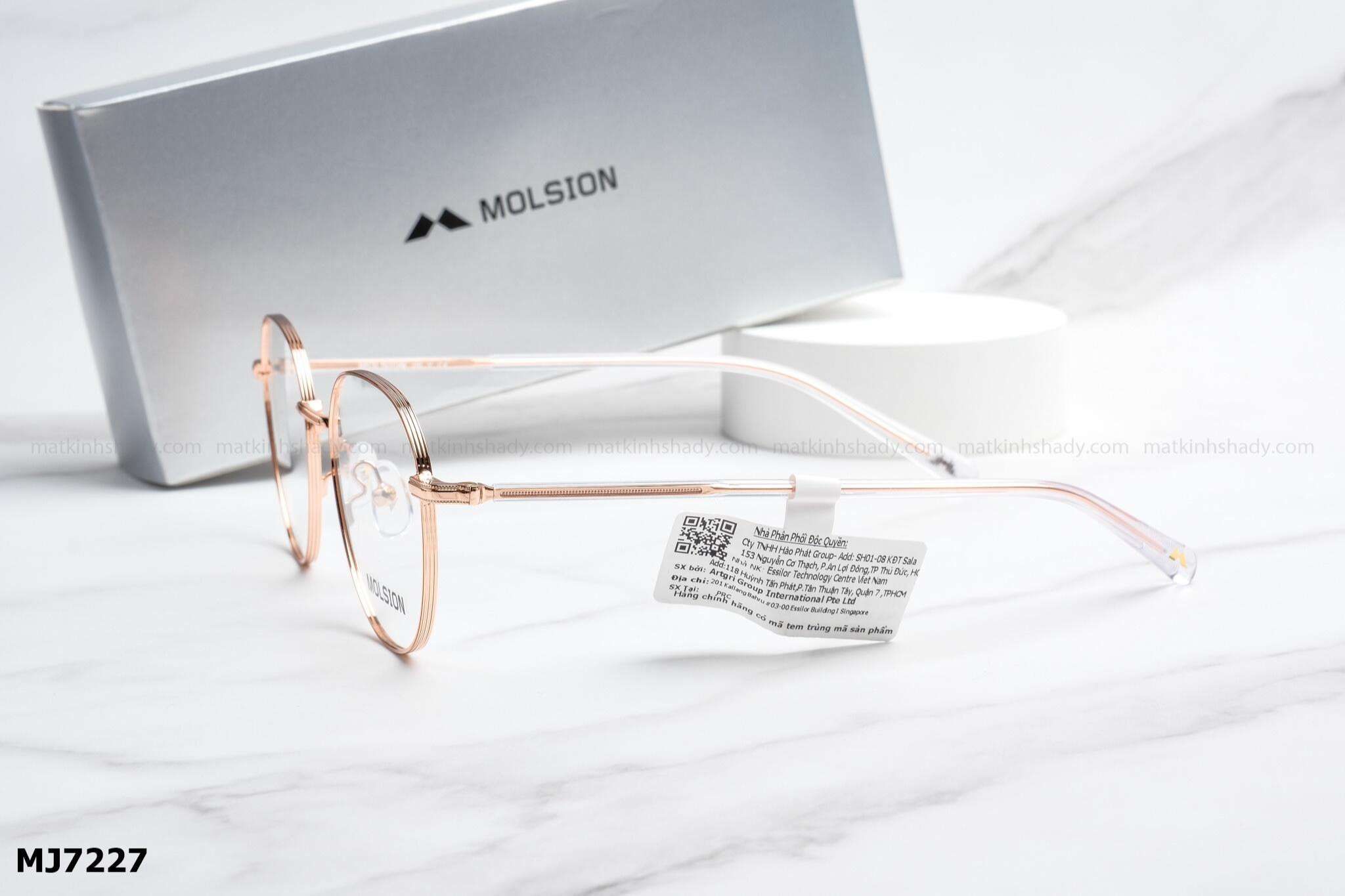  Molsion Eyewear - Glasses - MJ7227 