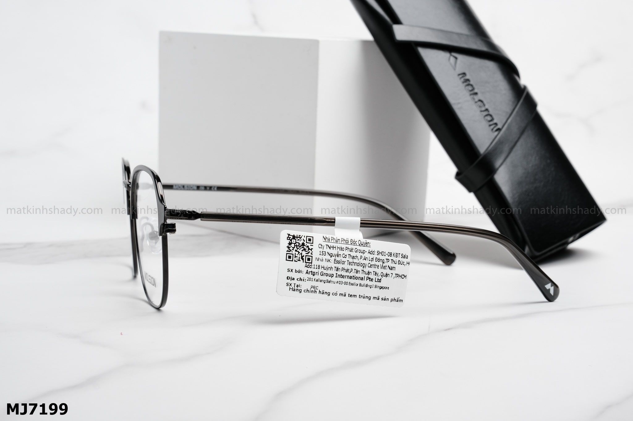  Molsion Eyewear - Glasses - MJ7199 