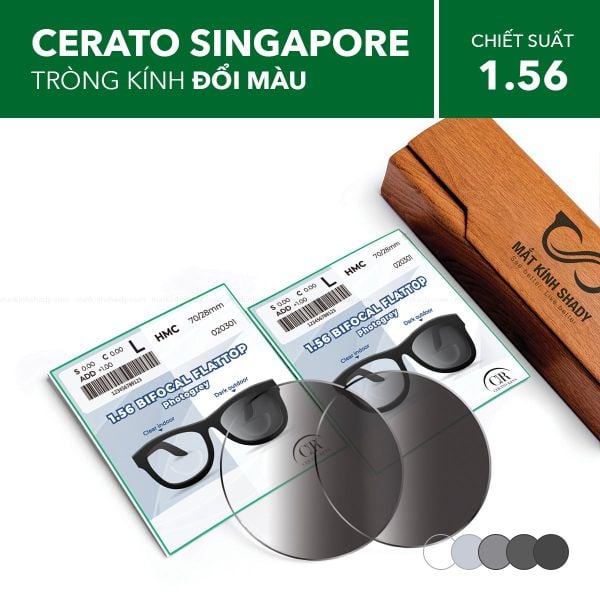 Tròng Kính Hai Tròng Đổi Màu Cerato Bifocal Flattop Photogrey 1.56 HMC