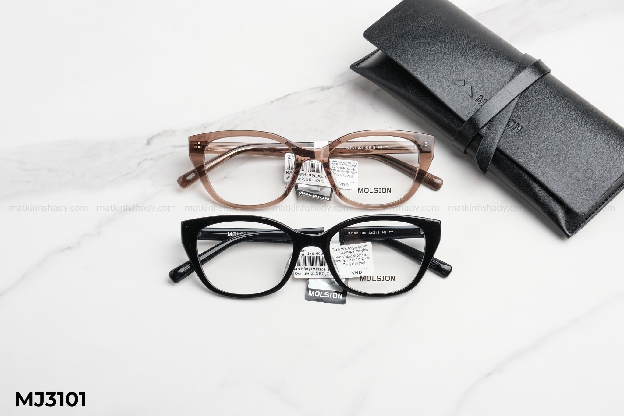  Molsion Eyewear - Glasses - MJ3101 