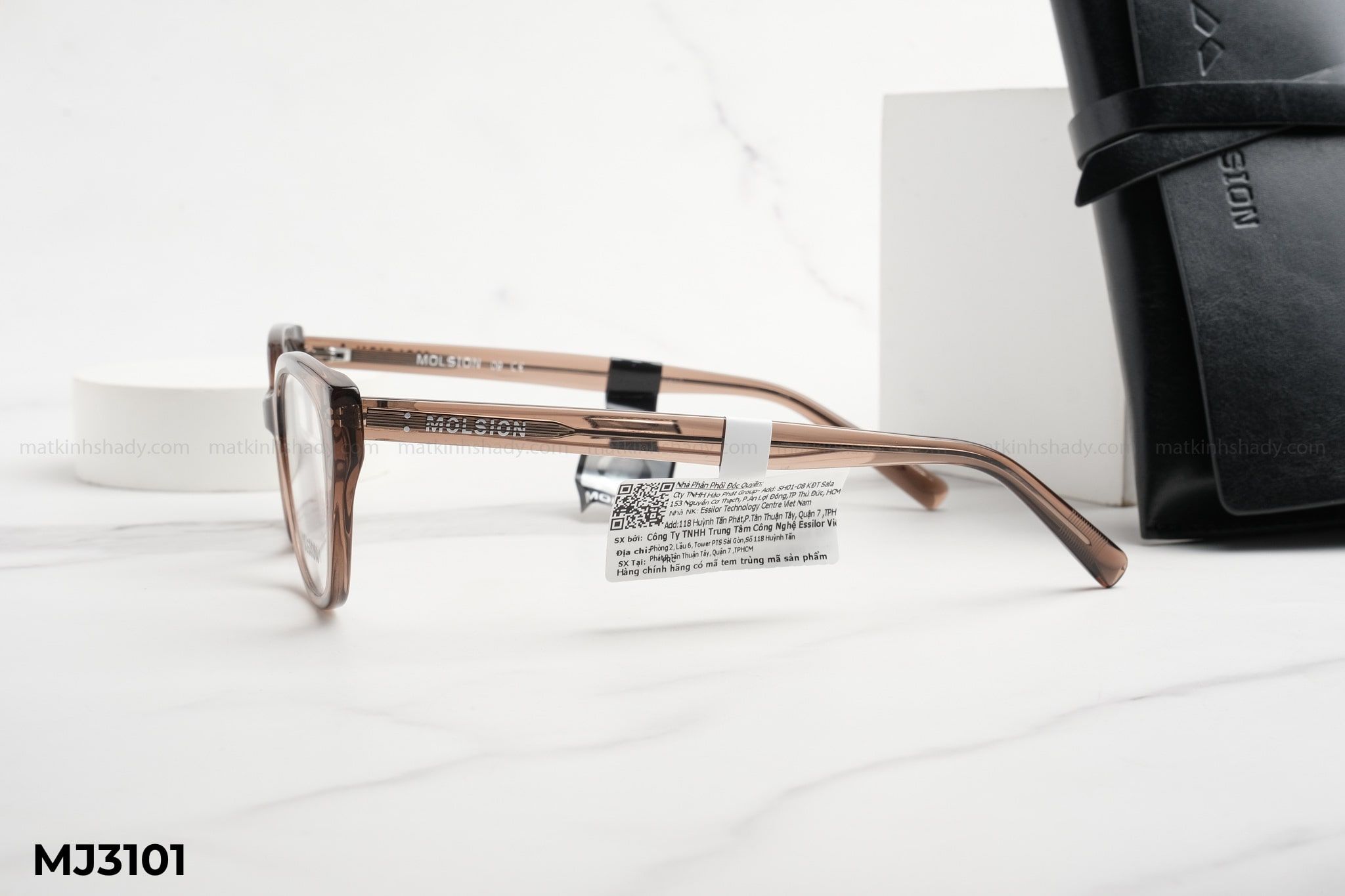  Molsion Eyewear - Glasses - MJ3101 