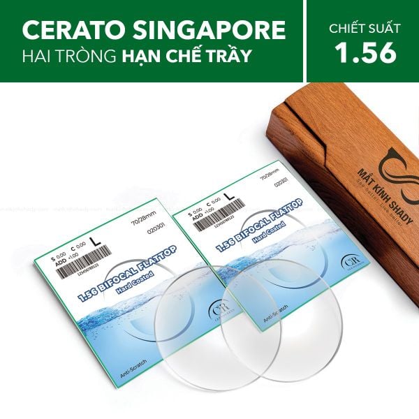 Tròng Kính Hai Tròng Hạn Chế Trầy Cerato Bifocal Flattop 1.56 HC