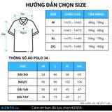  Áo thun Polo cổ đứng ATP0034 