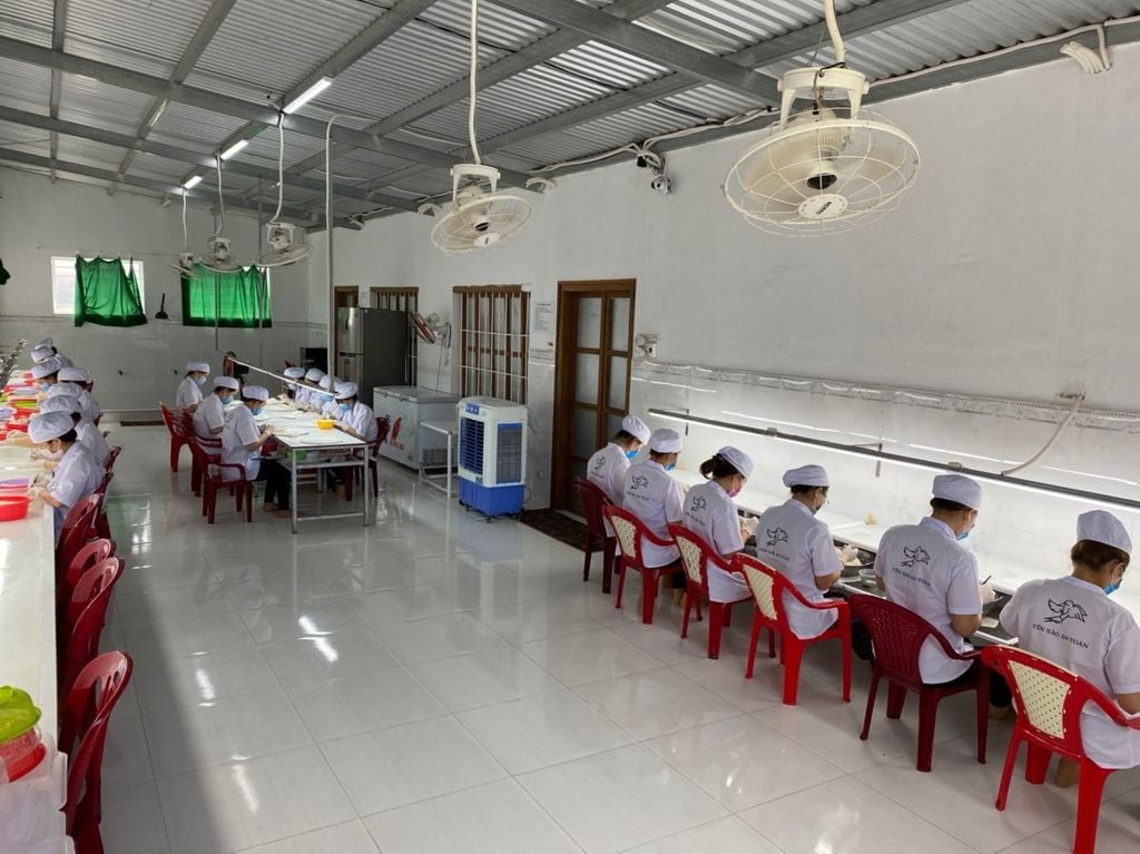 Yến Rút Lông Thượng Hạng 100% Sợi Gân - Dòng Xuất Khẩu