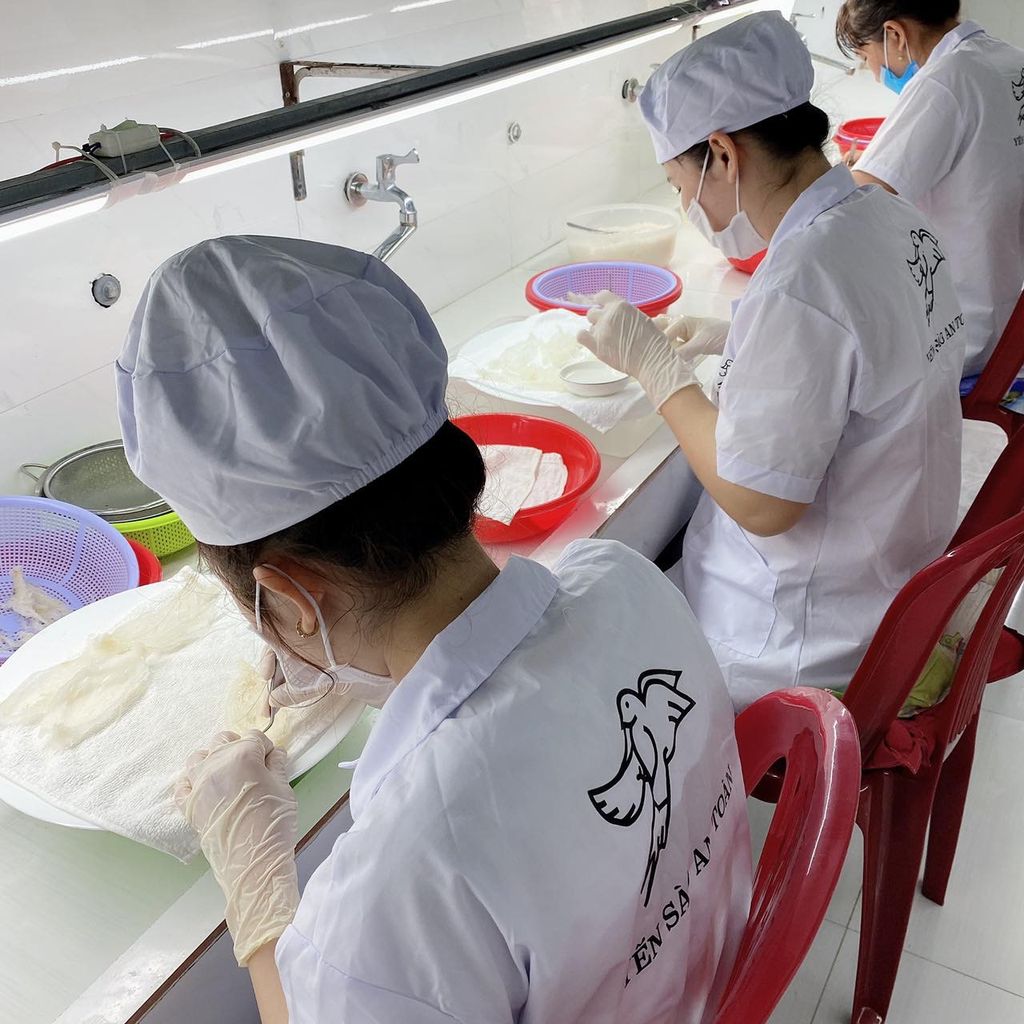 Yến Rút Lông Thượng Hạng 100% Sợi Gân - Dòng Xuất Khẩu