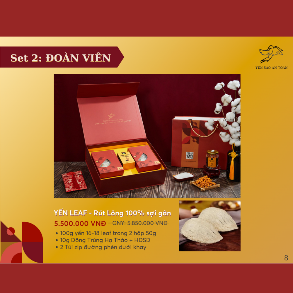 Hộp quà Đại Lợi Tổ Yến Nguyên Chất 50g và 100g với 10 lựa chọn ý nghĩa