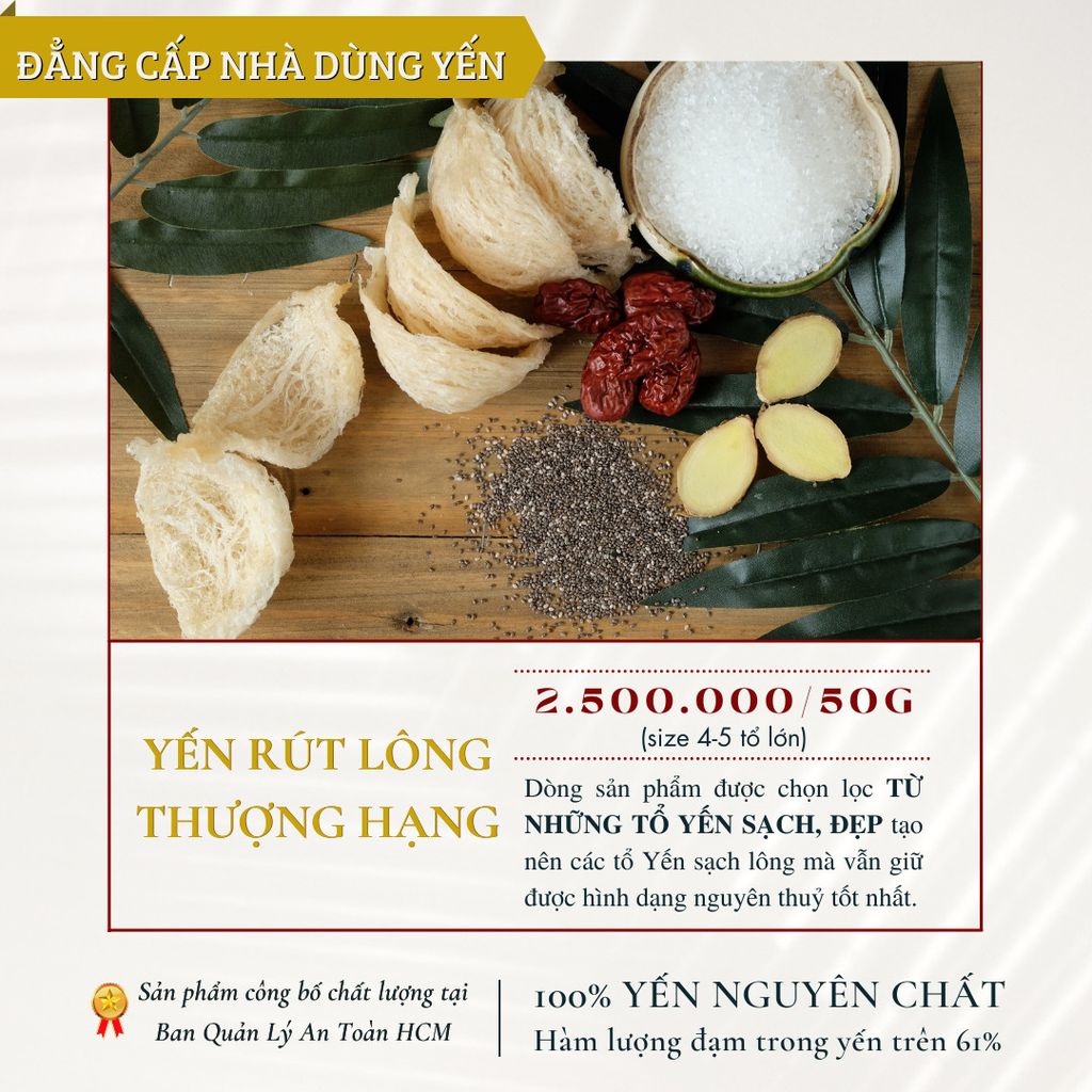 Yến Nguyên Tổ Rút Lông Thượng Hạng