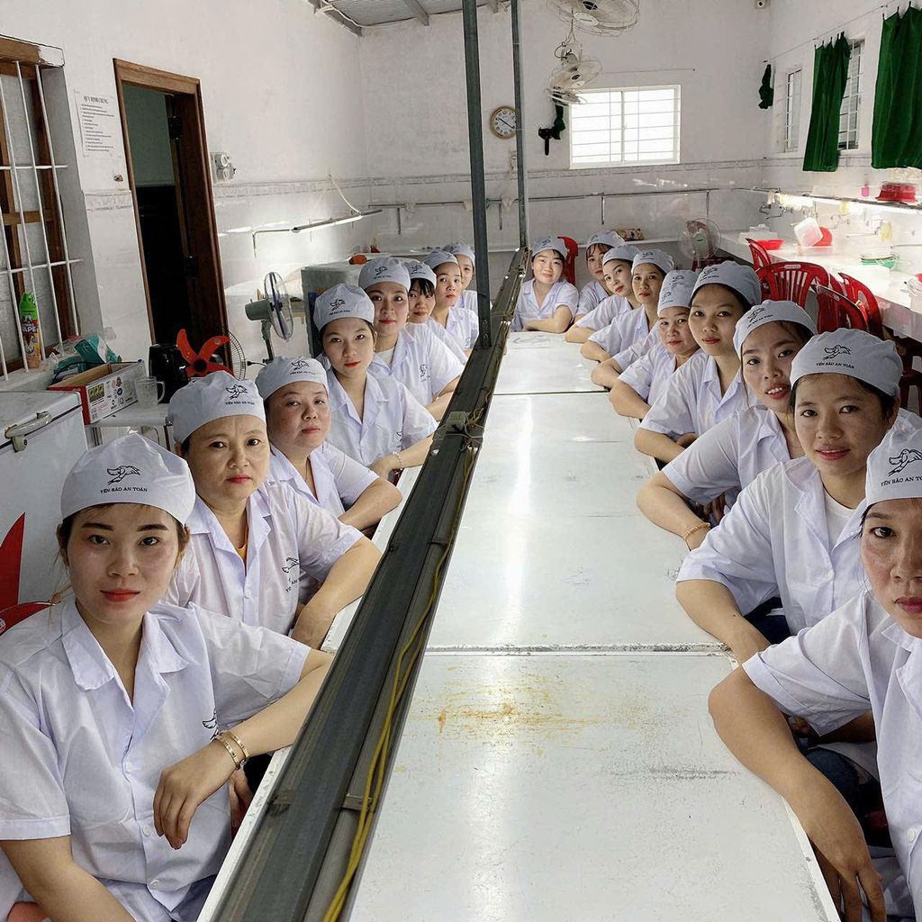 Tổ Yến Làm Sạch Dạng Tròn - 100% sợi THƯỢNG HẠNG