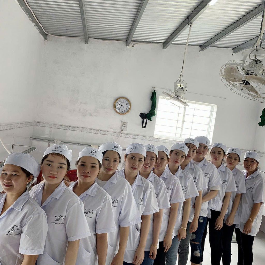 Tổ Yến Làm Sạch Dạng Tròn - 100% vụn Kinh tế