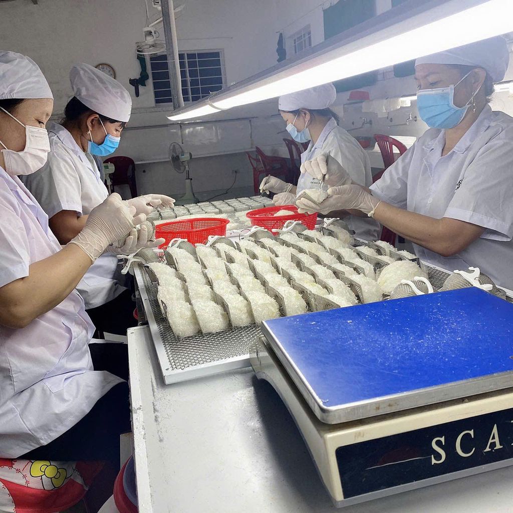 Tổ Yến Làm Sạch Dạng Tròn - 50% sợi