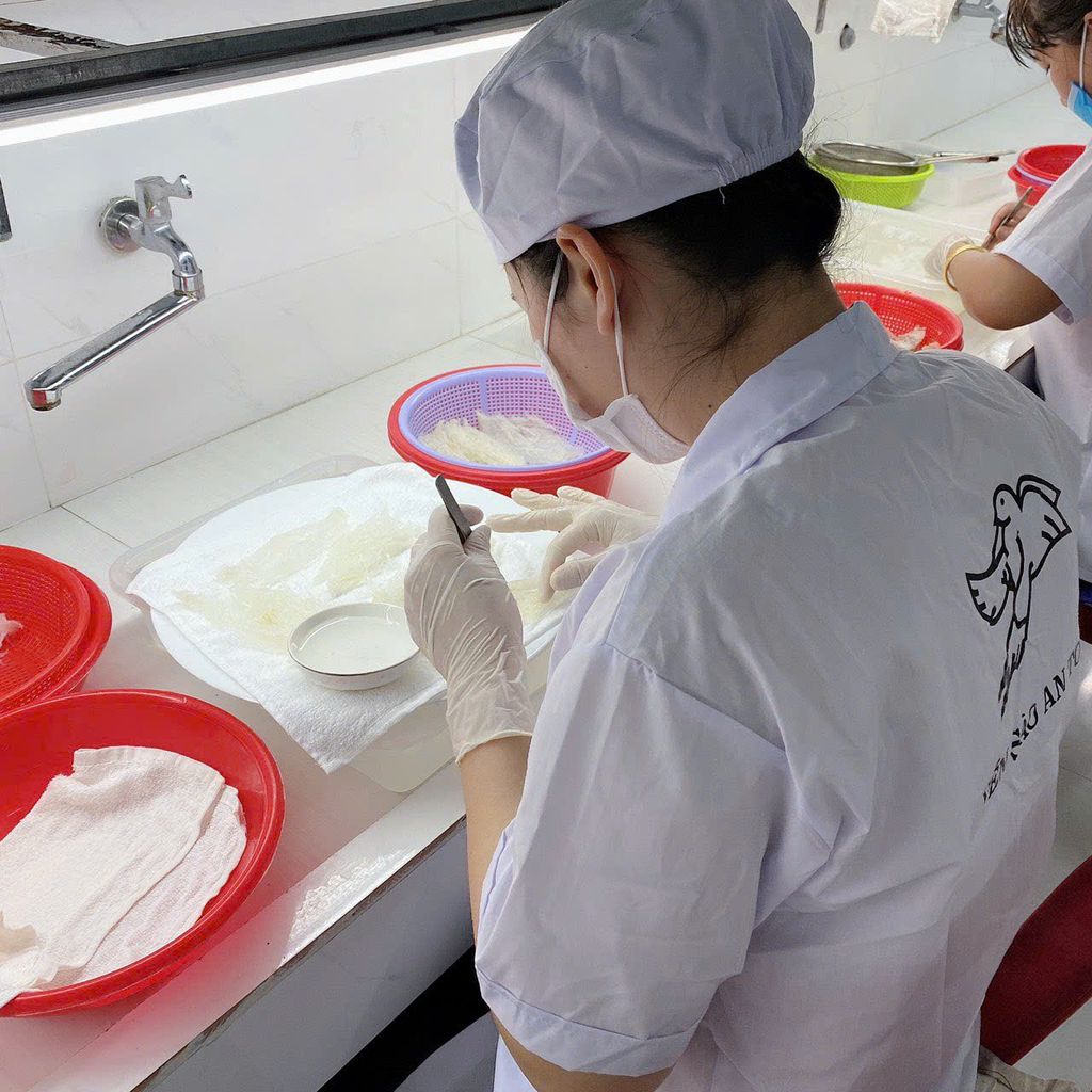 Tổ Yến Làm Sạch Dạng Tròn - 100% sợi THƯỢNG HẠNG