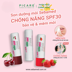 Son Dưỡng Bảo Vệ, Chống Khô Và Chống Nứt Môi Hương Dâu SEBAMED pH5.5 (Màu Dâu) Sensitive Skin Lip Defense Strawberry 4.8g