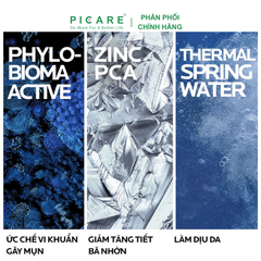 Sữa Rửa Mặt Dành Cho Da Dầu Mụn Dạng Gel La Roche-Posay Effaclar Purifying Foaming Gel 200ml