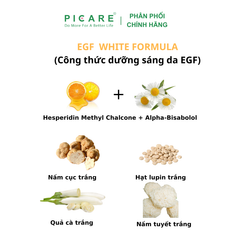 Ống Tinh Chất Chống Thâm Nám, Tái Sinh Trẻ Hóa Làn Da Easydew DW-EGF Melatoning Oneday Ampoule 1mlx7 ống