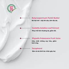 Kem làm dịu, cải thiện và ngăn ngừa  kích ứng cho da nhạy cảm, dễ mẩn đỏ ban ngày SPF 20 - Sebamed Anti-Redness Light Day Care SPF 20 - 50ml