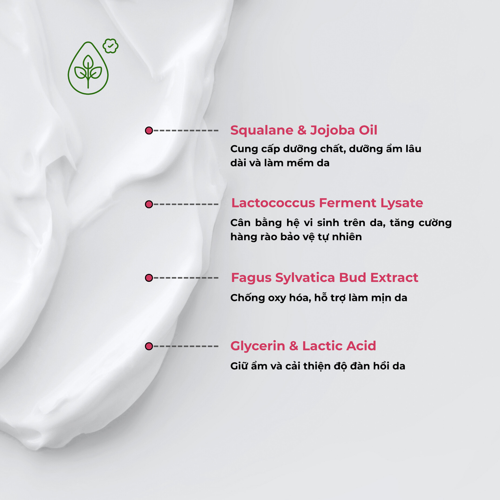 Kem Postbiotics - nuôi dưỡng, cải thiện và trẻ hóa da - Sebamed Pro! Energizing Cream 50ml