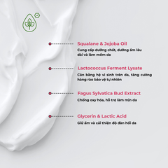 Kem Postbiotics - nuôi dưỡng, cải thiện và trẻ hóa da - Sebamed Pro! Energizing Cream 50ml