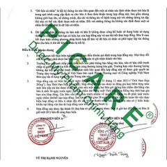 Sữa dưỡng ẩm chuyên biệt chống nắng ban ngày CeraVe Facial Moisturising Lotion AM 52ml