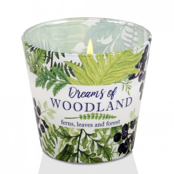 Chi tiet ly nen thom bartek candles bat5222 dream of woodland 115g huong cay duong si 13 vivians