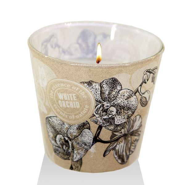 Chi tiet ly nen thom bartek candles bat1416 white orchid 115g huong hoa dia lan 13 vivians
