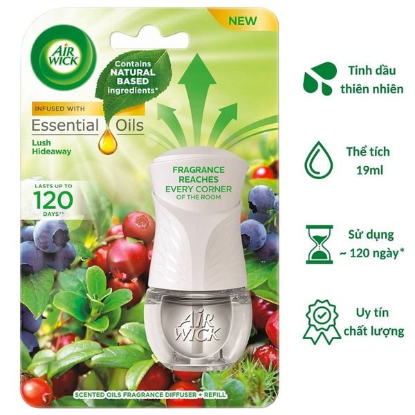 Bộ Tinh Dầu Cắm Điện Air Wick AWK2373 Lush Hideaway 19ml (Hương bạc hà, việt quất)
