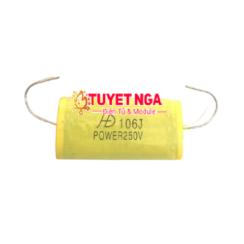 Tụ 106 250V (10uF)