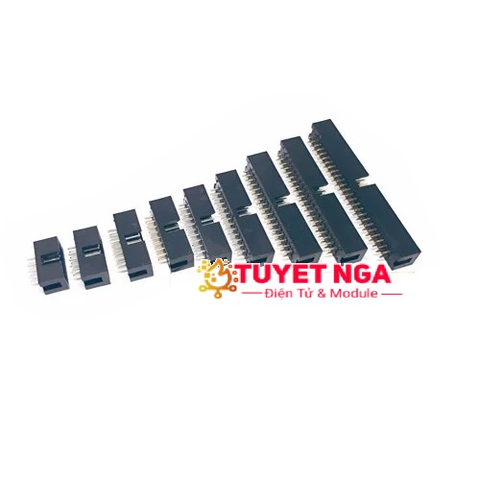 Đầu Đực Đôi 10 Chân 2.54mm