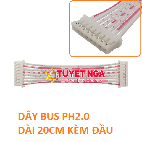 PH2.0 Dây Bus 8 Pin Dài 20cm