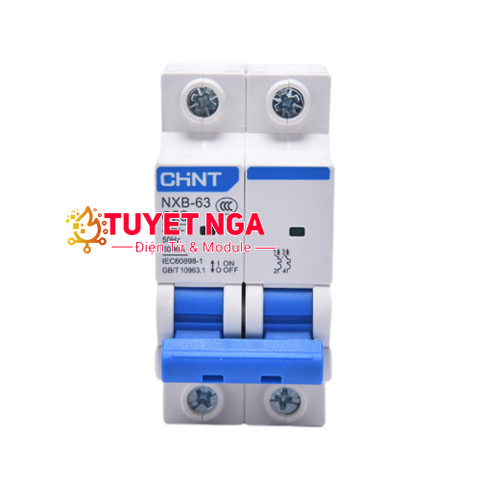 Chint NXB-63 MCB 2P 10A C10 CB Tép