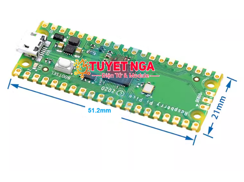 Mạch Phát Triển Raspberry Pi Pico RP2040