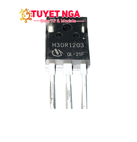 H30R1203 – ĐIỆN TỬ TUYẾT NGA