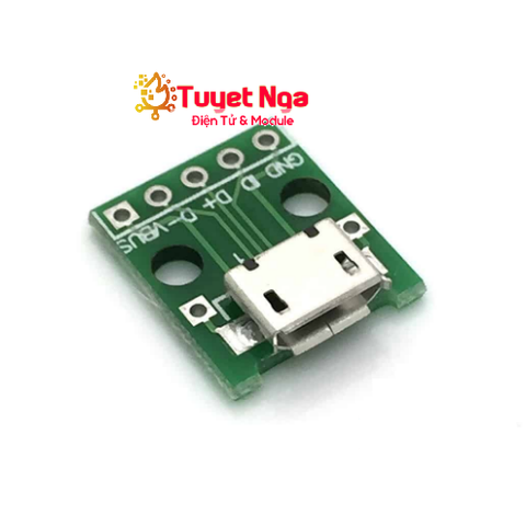 Đế Ra Chân Micro USB Cái