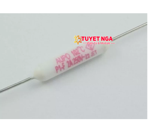 P1-F Cầu Chì Nhiệt 102 Độ 2A 250V