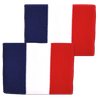 Cặp Băng mồ hôi tay-FRANCE Flag Wristbands (FBW-FR)