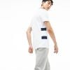 Áo Lacoste Regular Fit Striped Cotton Petit Piqué 2019 (PH4267-522)